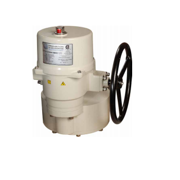 Bộ điều khiển van P13 - AC Promation